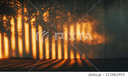 Shadows of trees cast on a wall at sunset. 121662955