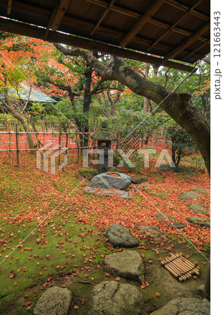 秋の松風園 121663443