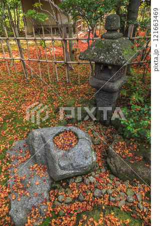 秋の松風園 秋の松風園 121663469