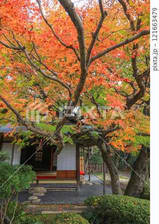 秋の松風園 121663479