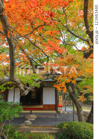 秋の松風園 121663480