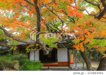 秋の松風園 秋の松風園 121663481