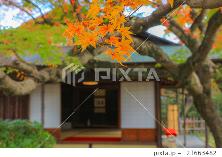 秋の松風園 121663482
