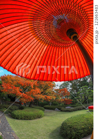 秋の松風園 秋の松風園 121663483