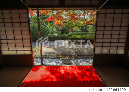 秋の松風園 秋の松風園 121663490