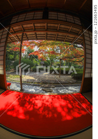 秋の松風園 121663495