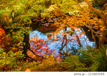 【京都風景】三千院　大原の里の紅葉は心にしみる秋色 121663569