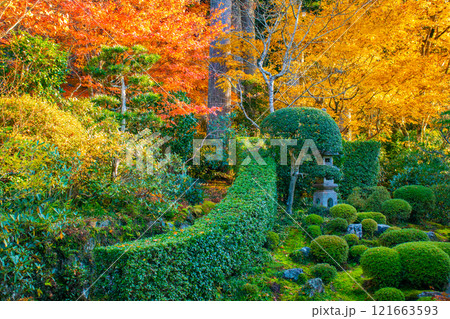 【京都風景】三千院　大原の里の紅葉は心にしみる秋色 121663593