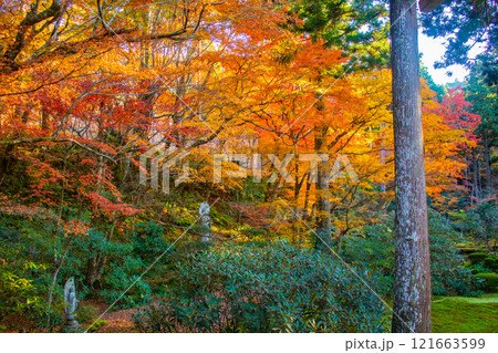 【京都風景】三千院　大原の里の紅葉は心にしみる秋色 121663599