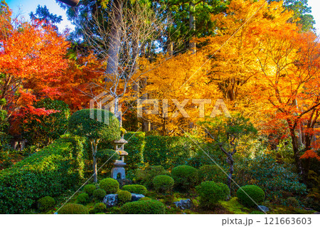 【京都風景】三千院 大原の里の紅葉は心にしみる秋色 【京都風景】三千院 大原の里の紅葉は心にしみる秋色 121663603
