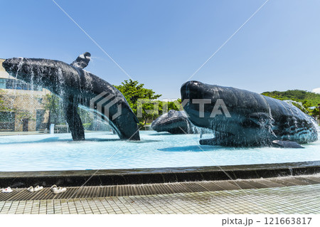 View of the Whale Water Square at the National Museum of Marine Biology and Aquarium in Kenting National Park of Pingtung, Taiwan. View of the Whale Water Square at the National Museum of Marine Biology and Aquarium in Kenting National Park of Pingtung, Taiwan. 121663817