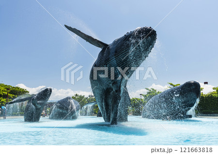 View of the Whale Water Square at the National Museum of Marine Biology and Aquarium in Kenting National Park of Pingtung, Taiwan. View of the Whale Water Square at the National Museum of Marine Biology and Aquarium in Kenting National Park of Pingtung, Taiwan. 121663818