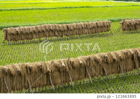 稲掛のある風景　倉吉市関金町 121663895