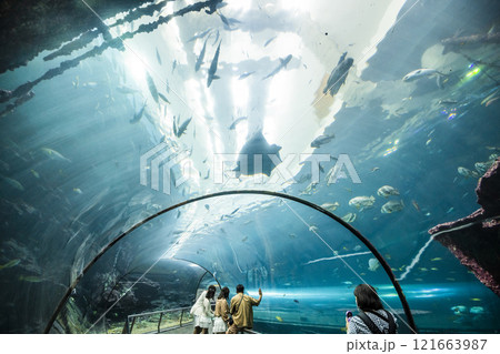 View of the fishes at the Underwater Tunnel at the National Museum of Marine Biology and Aquarium in Kenting National Park of Pingtung, Taiwan. View of the fishes at the Underwater Tunnel at the National Museum of Marine Biology and Aquarium in Kenting National Park of Pingtung, Taiwan. 121663987