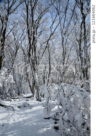 雪の高見山登山道(山頂近く) 【奈良県東吉野村】 雪の高見山登山道(山頂近く) 【奈良県東吉野村】 121664062