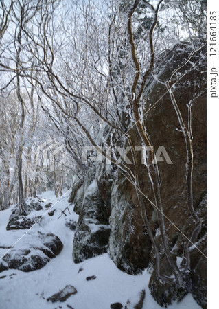 樹氷の高見山(国見岩)　【奈良県東吉野村】 121664185