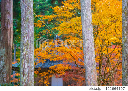 【京都風景】三千院 大原の里の紅葉は心にしみる秋色 【京都風景】三千院 大原の里の紅葉は心にしみる秋色 121664197