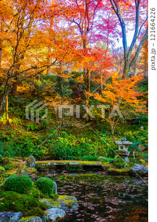 【京都風景】三千院 大原の里の紅葉は心にしみる秋色 【京都風景】三千院 大原の里の紅葉は心にしみる秋色 121664226