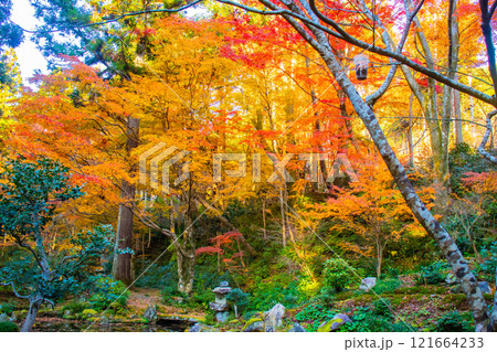 【京都風景】三千院 大原の里の紅葉は心にしみる秋色 【京都風景】三千院 大原の里の紅葉は心にしみる秋色 121664233