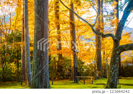 【京都風景】三千院　大原の里の紅葉は心にしみる秋色 121664242