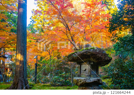 【京都風景】三千院　大原の里の紅葉は心にしみる秋色 121664244