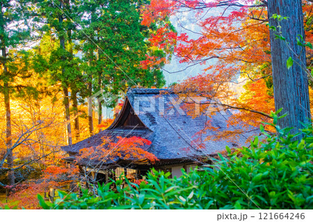 【京都風景】三千院 大原の里の紅葉は心にしみる秋色 【京都風景】三千院 大原の里の紅葉は心にしみる秋色 121664246