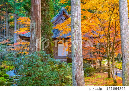 【京都風景】三千院　大原の里の紅葉は心にしみる秋色 121664263