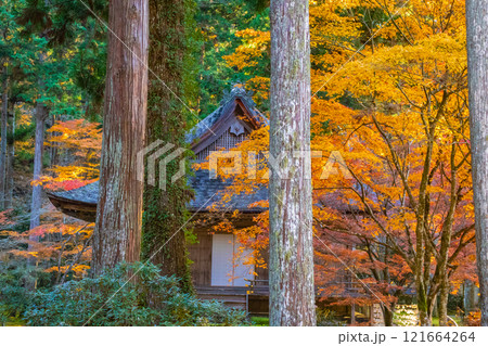 【京都風景】三千院 大原の里の紅葉は心にしみる秋色 【京都風景】三千院 大原の里の紅葉は心にしみる秋色 121664264