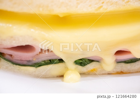チーズ入りホットサンドのイメージ (写真素材) チーズ入りホットサンドのイメージ (写真素材) 121664280