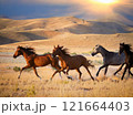 草原を駆ける馬たち 121664403