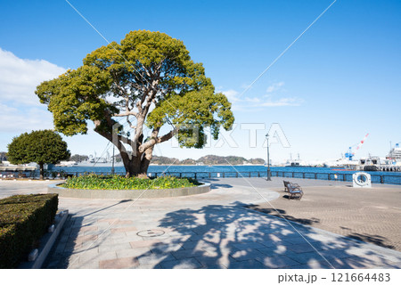 横須賀、ヴェルニー公園 121664483