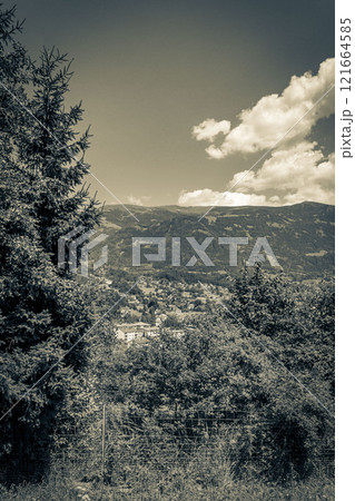 Wonderful wooded mountain alpine panorama with village and huts Austria. Wonderful wooded mountain alpine panorama with village and huts Austria. 121664585
