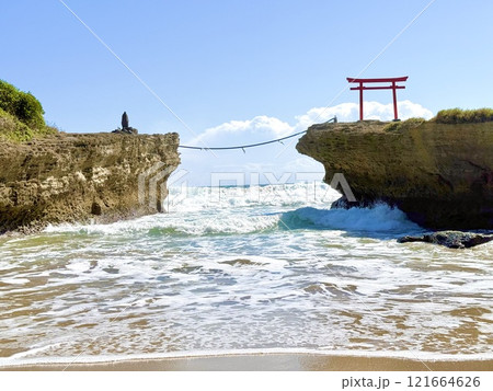 伊豆白浜神社にある岩場の鳥居 121664626