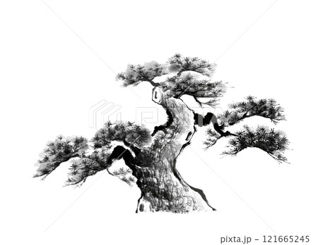 松の木の手描き水墨画（背景なし）のイラスト素材 [121665245] - PIXTA