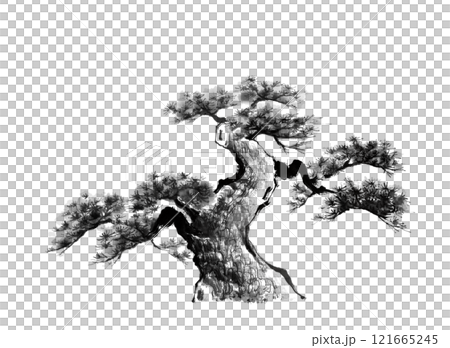 松の木の手描き水墨画（背景なし）のイラスト素材 [121665245] - PIXTA