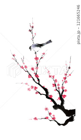 梅と鳥の手描き水墨画（淡彩・背景なし） 121665246