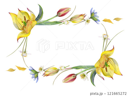 Spring flowers, yellow and red tulip, white forest anemone primrose, blue hepatica forget-me-not, grass, hand drawn in watercolor. Border frame illustration, for wedding, florist shop, stationery. 121665272
