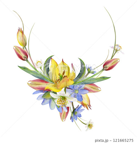 Spring flowers, white forest anemone primrose, grass, yellow and red tulip, blue hepatica forget-me-not, hand drawn in watercolor. Wreath garland illustration, for wedding, florist shop, stationery. 121665275