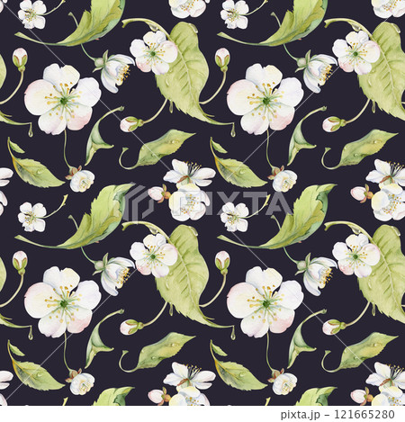 Cherry sakura apple white flower, bud, green leaves on branches, hand drawn in watercolor, wildflower botanical illustration. Seamless pattern isolated on dark for scrapbooking, wedding, florist shop. 121665280