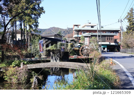 栃木県佐野市出流原の弁天池の風景 121665309