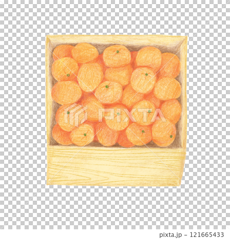 Illustration of mandarin oranges in a wooden box drawn with colored pencils 121665433