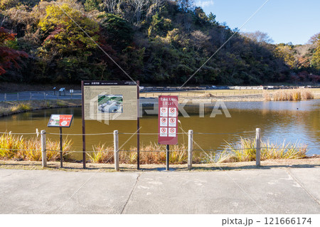 国指定史跡永福寺跡 121666174