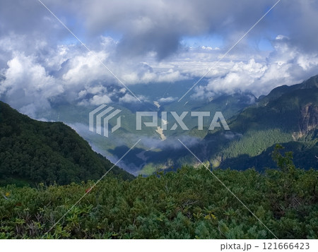 甲斐駒ヶ岳登山道中から見下ろす下界の自然 121666423