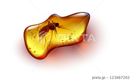 Amber with insect mosquito inside. Fossil ancient orange stone amber with bug frozen inside on white. Fossil mosquito in sunstone resin. Realistic vector illustration ancient amber. Archaeology. 121667202