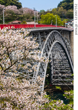 西海橋の桜【長崎県西海市佐世保市】 121667352