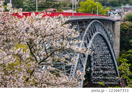 西海橋の桜【長崎県西海市佐世保市】 西海橋の桜【長崎県西海市佐世保市】 121667353