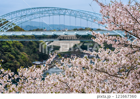 西海橋の桜【長崎県西海市佐世保市】 西海橋の桜【長崎県西海市佐世保市】 121667360