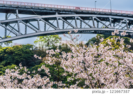 西海橋の桜【長崎県西海市佐世保市】 西海橋の桜【長崎県西海市佐世保市】 121667387