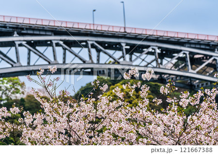 西海橋の桜【長崎県西海市佐世保市】 西海橋の桜【長崎県西海市佐世保市】 121667388