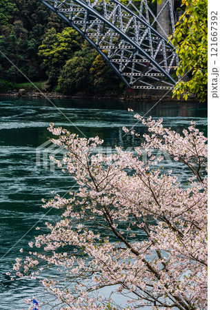 西海橋の桜【長崎県西海市佐世保市】 西海橋の桜【長崎県西海市佐世保市】 121667392